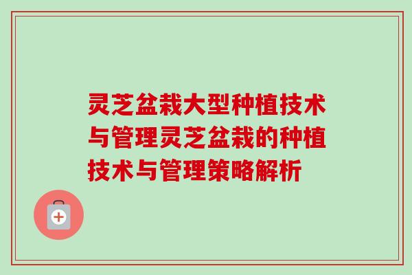灵芝盆栽大型种植技术与管理灵芝盆栽的种植技术与管理策略解析 灵芝盆栽大型种植技术与管理灵芝盆栽的种植技术与管理策略解析