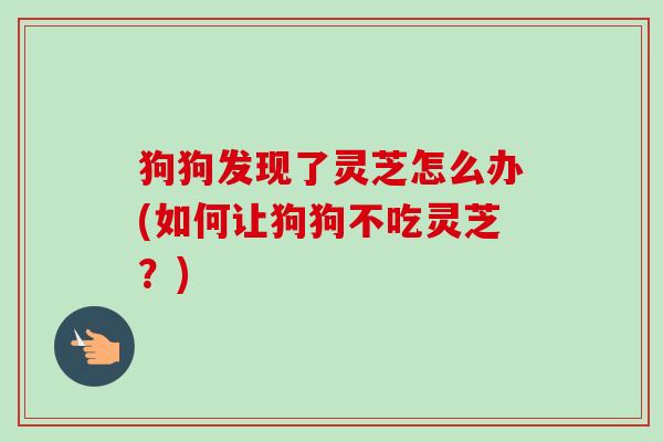 狗狗发现了灵芝怎么办(如何让狗狗不吃灵芝?) 狗狗发现了灵芝怎么办(如何让狗狗不吃灵芝?)