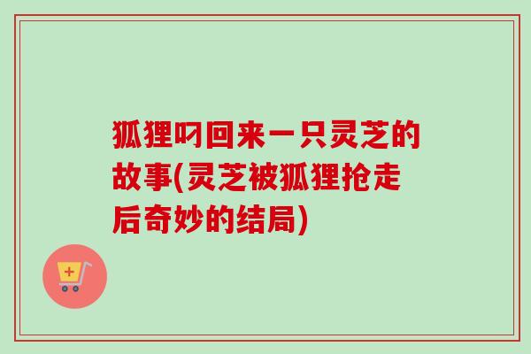 狐狸叼回来一只灵芝的故事(灵芝被狐狸抢走后奇妙的结局) 狐狸叼回来一只灵芝的故事(灵芝被狐狸抢走后奇妙的结局)