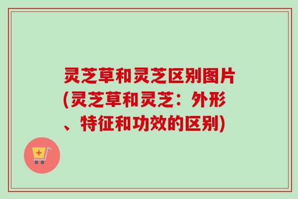 灵芝草和灵芝区别图片(灵芝草和灵芝:外形、特征和功效的区别) 灵芝草和灵芝区别图片(灵芝草和灵芝:外形、特征和功效的区别)