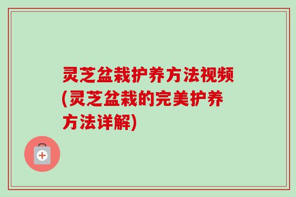 灵芝盆栽护养方法视频(灵芝盆栽的完美护养方法详解) 灵芝盆栽护养方法视频(灵芝盆栽的完美护养方法详解)