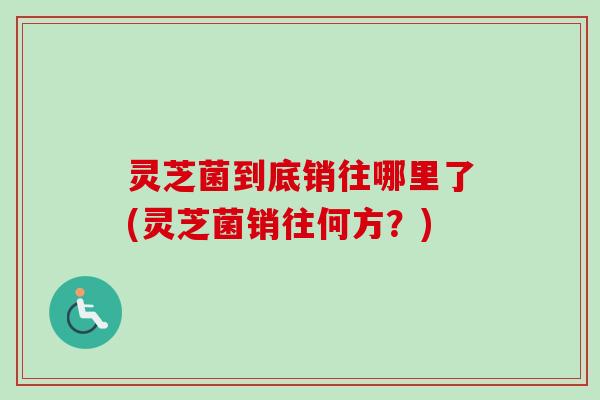 灵芝菌到底销往哪里了(灵芝菌销往何方?) 灵芝菌到底销往哪里了(灵芝菌销往何方?)