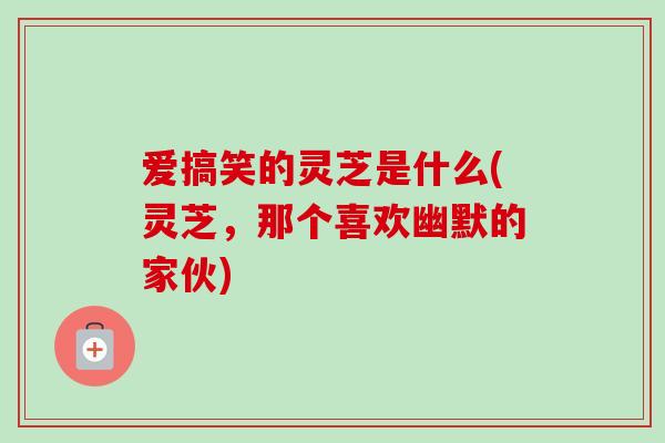 爱搞笑的灵芝是什么(灵芝，那个喜欢幽默的家伙)