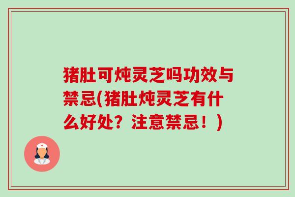 猪肚可炖灵芝吗功效与禁忌(猪肚炖灵芝有什么好处?注意禁忌!) 猪肚可炖灵芝吗功效与禁忌(猪肚炖灵芝有什么好处?注意禁忌!)