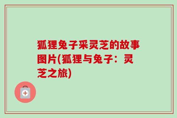 狐狸兔子采灵芝的故事图片(狐狸与兔子：灵芝之旅)