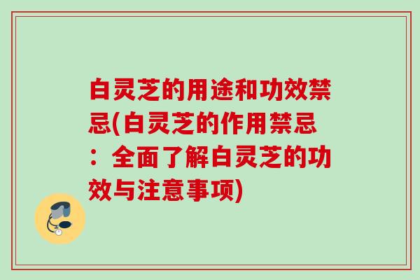 白灵芝的用途和功效禁忌(白灵芝的作用禁忌:全面了解白灵芝的功效与注意事项) 白灵芝的用途和功效禁忌(白灵芝的作用禁忌:全面了解白灵芝的功效与注意事项)