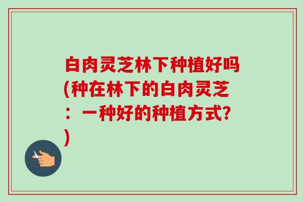 白肉灵芝林下种植好吗(种在林下的白肉灵芝:一种好的种植方式?) 白肉灵芝林下种植好吗(种在林下的白肉灵芝:一种好的种植方式?)