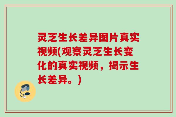 灵芝生长差异图片真实视频(观察灵芝生长变化的真实视频,揭示生长差异。) 灵芝生长差异图片真实视频(观察灵芝生长变化的真实视频,揭示生长差异。)