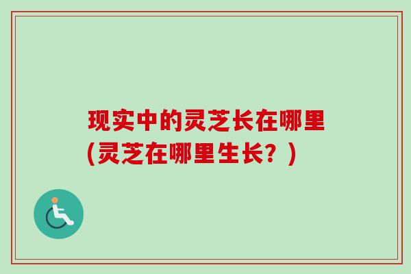 现实中的灵芝长在哪里(灵芝在哪里生长?) 现实中的灵芝长在哪里(灵芝在哪里生长?)