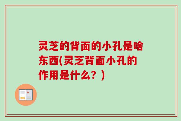 灵芝的背面的小孔是啥东西(灵芝背面小孔的作用是什么？)