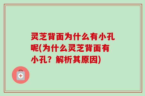 灵芝背面为什么有小孔呢(为什么灵芝背面有小孔?解析其原因) 灵芝背面为什么有小孔呢(为什么灵芝背面有小孔?解析其原因)