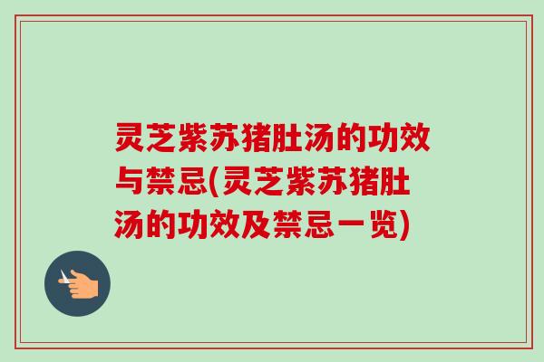 灵芝紫苏猪肚汤的功效与禁忌(灵芝紫苏猪肚汤的功效及禁忌一览) 灵芝紫苏猪肚汤的功效与禁忌(灵芝紫苏猪肚汤的功效及禁忌一览)