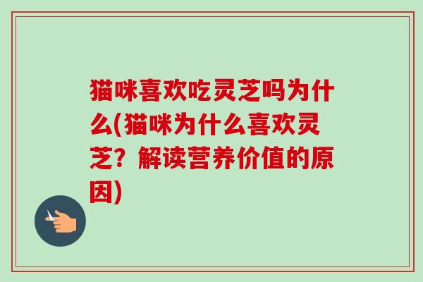 猫咪喜欢吃灵芝吗为什么(猫咪为什么喜欢灵芝?解读营养价值的原因) 猫咪喜欢吃灵芝吗为什么(猫咪为什么喜欢灵芝?解读营养价值的原因)