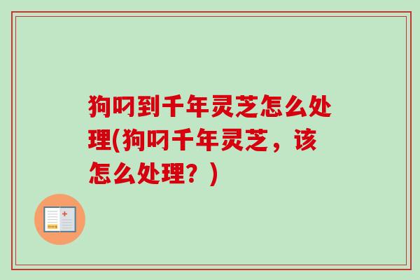 狗叼到千年灵芝怎么处理(狗叼千年灵芝,该怎么处理?) 狗叼到千年灵芝怎么处理(狗叼千年灵芝,该怎么处理?)