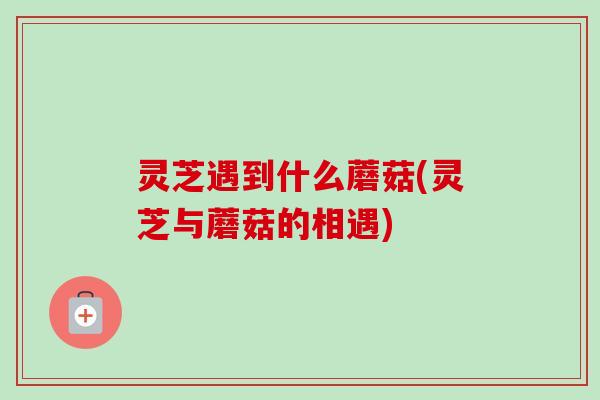 灵芝遇到什么蘑菇(灵芝与蘑菇的相遇) 灵芝遇到什么蘑菇(灵芝与蘑菇的相遇)