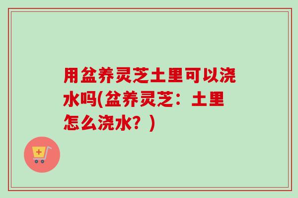 用盆养灵芝土里可以浇水吗(盆养灵芝:土里怎么浇水?) 用盆养灵芝土里可以浇水吗(盆养灵芝:土里怎么浇水?)