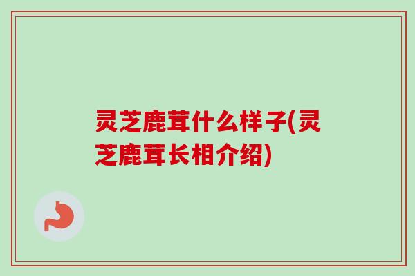 灵芝鹿茸什么样子(灵芝鹿茸长相介绍)