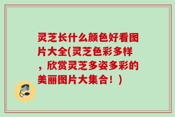 灵芝长什么颜色好看图片大全(灵芝色彩多样，欣赏灵芝多姿多彩的美丽图片大集合！)