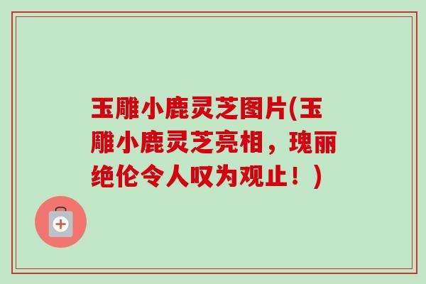 玉雕小鹿灵芝图片(玉雕小鹿灵芝亮相,瑰丽绝伦令人叹为观止!) 玉雕小鹿灵芝图片(玉雕小鹿灵芝亮相,瑰丽绝伦令人叹为观止!)