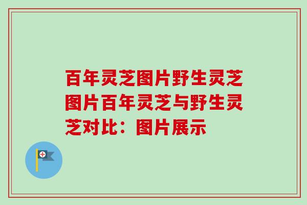百年灵芝图片野生灵芝图片百年灵芝与野生灵芝对比:图片展示 百年灵芝图片野生灵芝图片百年灵芝与野生灵芝对比:图片展示