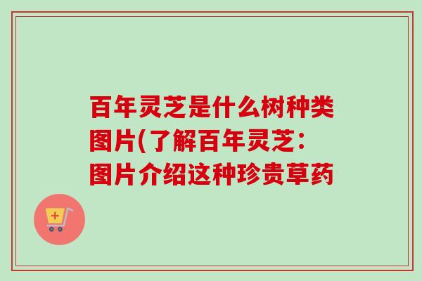 百年灵芝是什么树种类图片(了解百年灵芝:图片介绍这种珍贵草药 百年灵芝是什么树种类图片(了解百年灵芝:图片介绍这种珍贵草药