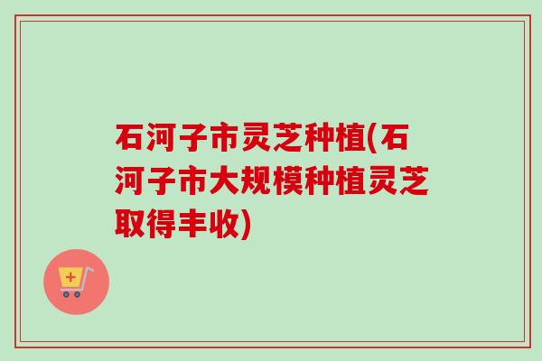 石河子市灵芝种植(石河子市大规模种植灵芝取得丰收) 石河子市灵芝种植(石河子市大规模种植灵芝取得丰收)
