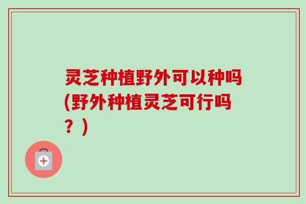 灵芝种植野外可以种吗(野外种植灵芝可行吗?) 灵芝种植野外可以种吗(野外种植灵芝可行吗?)