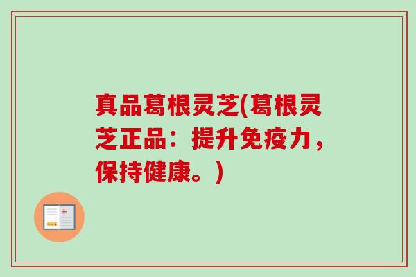 真品葛根灵芝(葛根灵芝正品:提升免疫力,保持健康。) 真品葛根灵芝(葛根灵芝正品:提升免疫力,保持健康。)