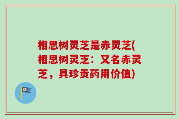 相思树灵芝是赤灵芝(相思树灵芝:又名赤灵芝,具珍贵药用价值) 相思树灵芝是赤灵芝(相思树灵芝:又名赤灵芝,具珍贵药用价值)