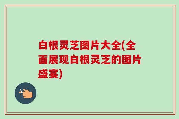 白根灵芝图片大全(全面展现白根灵芝的图片盛宴) 白根灵芝图片大全(全面展现白根灵芝的图片盛宴)