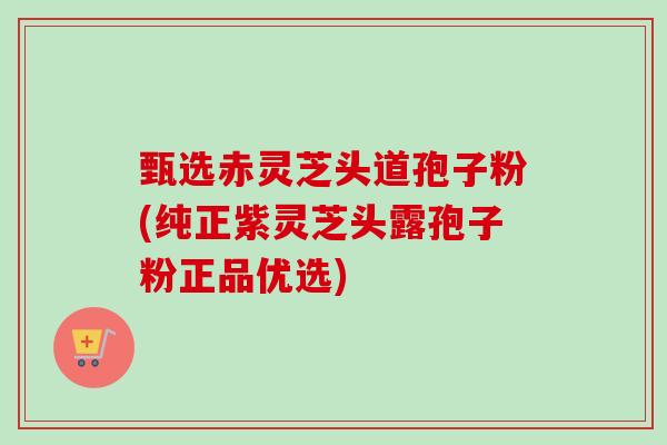 甄选赤灵芝头道孢子粉(纯正紫灵芝头露孢子粉正品优选)