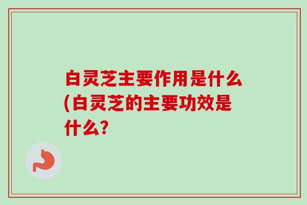 白灵芝主要作用是什么(白灵芝的主要功效是什么? 白灵芝主要作用是什么(白灵芝的主要功效是什么?