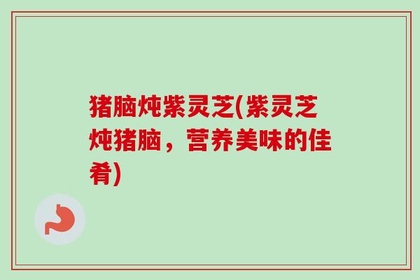 猪脑炖紫灵芝(紫灵芝炖猪脑,营养美味的佳肴) 猪脑炖紫灵芝(紫灵芝炖猪脑,营养美味的佳肴)