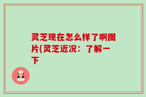 灵芝现在怎么样了啊图片(灵芝近况:了解一下 灵芝现在怎么样了啊图片(灵芝近况:了解一下