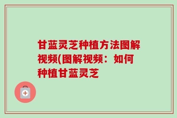 甘蓝灵芝种植方法图解视频(图解视频:如何种植甘蓝灵芝 甘蓝灵芝种植方法图解视频(图解视频:如何种植甘蓝灵芝