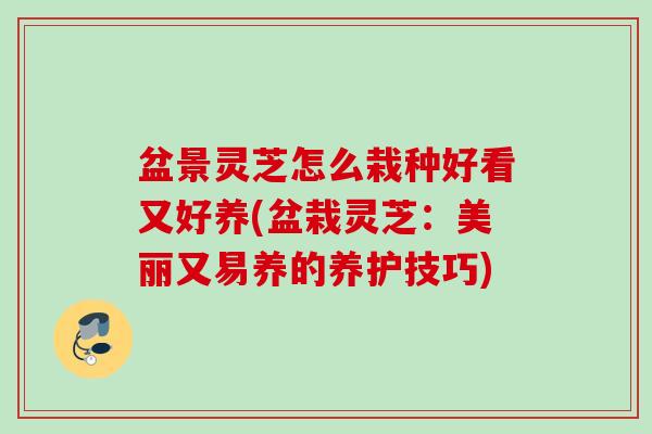 盆景灵芝怎么栽种好看又好养(盆栽灵芝:美丽又易养的养护技巧) 盆景灵芝怎么栽种好看又好养(盆栽灵芝:美丽又易养的养护技巧)