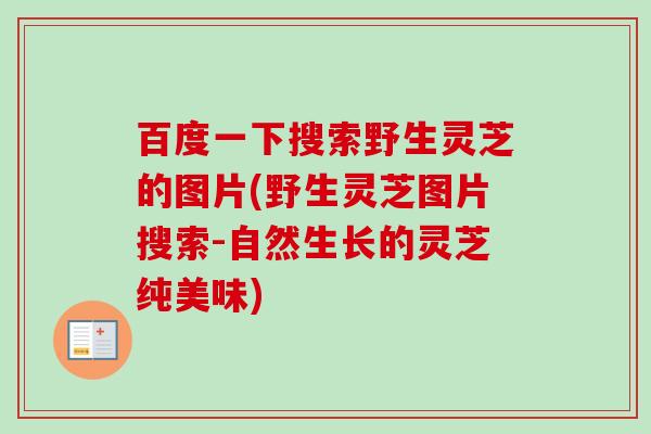 百度一下搜索野生灵芝的图片(野生灵芝图片搜索-自然生长的灵芝纯美味) 百度一下搜索野生灵芝的图片(野生灵芝图片搜索-自然生长的灵芝纯美味)