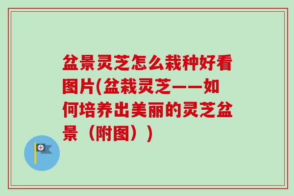盆景灵芝怎么栽种好看图片(盆栽灵芝——如何培养出美丽的灵芝盆景(附图)) 盆景灵芝怎么栽种好看图片(盆栽灵芝——如何培养出美丽的灵芝盆景(附图))