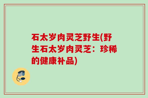 石太岁肉灵芝野生(野生石太岁肉灵芝:珍稀的健康补品) 石太岁肉灵芝野生(野生石太岁肉灵芝:珍稀的健康补品)