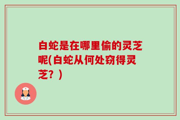 白蛇是在哪里偷的灵芝呢(白蛇从何处窃得灵芝?) 白蛇是在哪里偷的灵芝呢(白蛇从何处窃得灵芝?)