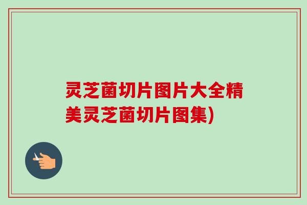 灵芝菌切片图片大全精美灵芝菌切片图集)