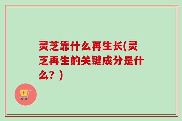 灵芝靠什么再生长(灵芝再生的关键成分是什么？)