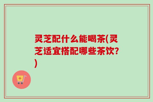 灵芝配什么能喝茶(灵芝适宜搭配哪些茶饮？)