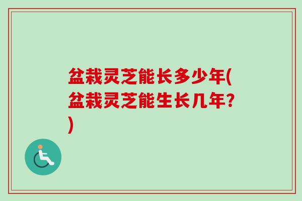 盆栽灵芝能长多少年(盆栽灵芝能生长几年？)