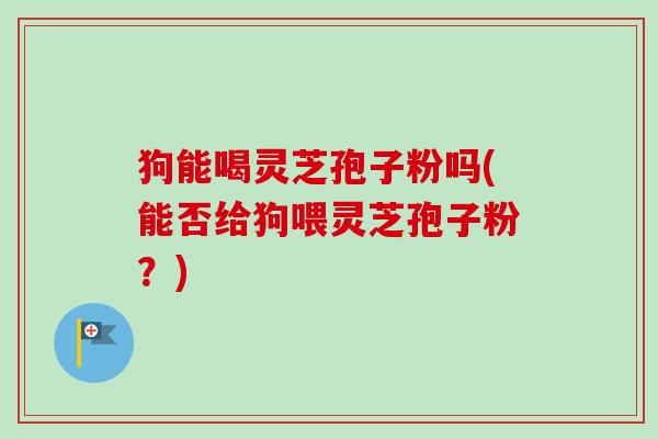 狗能喝灵芝孢子粉吗(能否给狗喂灵芝孢子粉？)