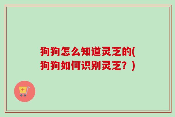 狗狗怎么知道灵芝的(狗狗如何识别灵芝?) 狗狗怎么知道灵芝的(狗狗如何识别灵芝?)