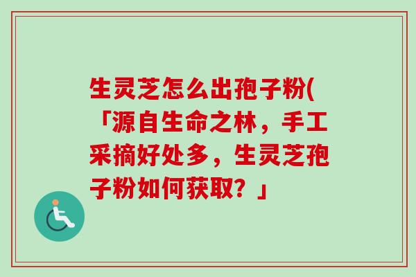 生灵芝怎么出孢子粉(「源自生命之林，手工采摘好处多，生灵芝孢子粉如何获取？」