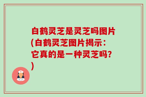 白鹤灵芝是灵芝吗图片(白鹤灵芝图片揭示:它真的是一种灵芝吗?) 白鹤灵芝是灵芝吗图片(白鹤灵芝图片揭示:它真的是一种灵芝吗?)