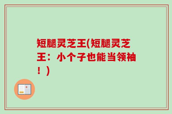 短腿灵芝王(短腿灵芝王:小个子也能当领袖!) 短腿灵芝王(短腿灵芝王:小个子也能当领袖!)