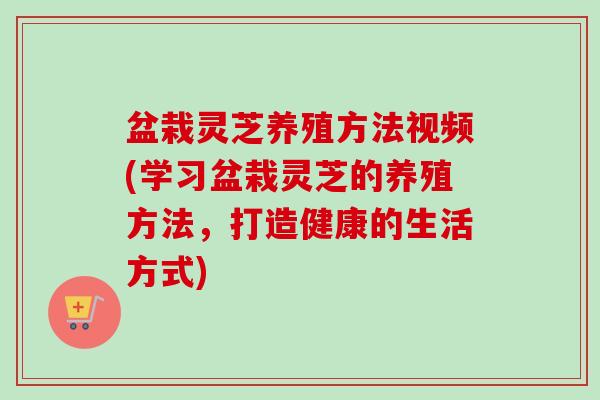 盆栽灵芝养殖方法视频(学习盆栽灵芝的养殖方法，打造健康的生活方式)